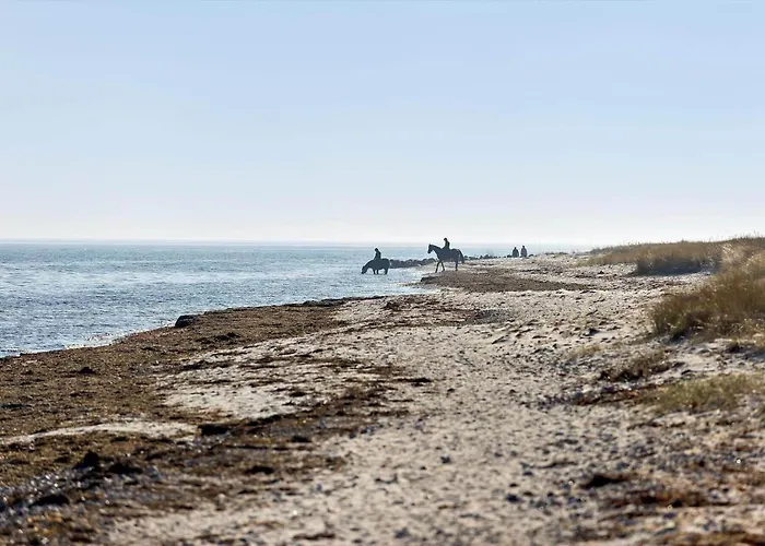 Ll255-rudkobing-hybenvaenget-12 Holiday home